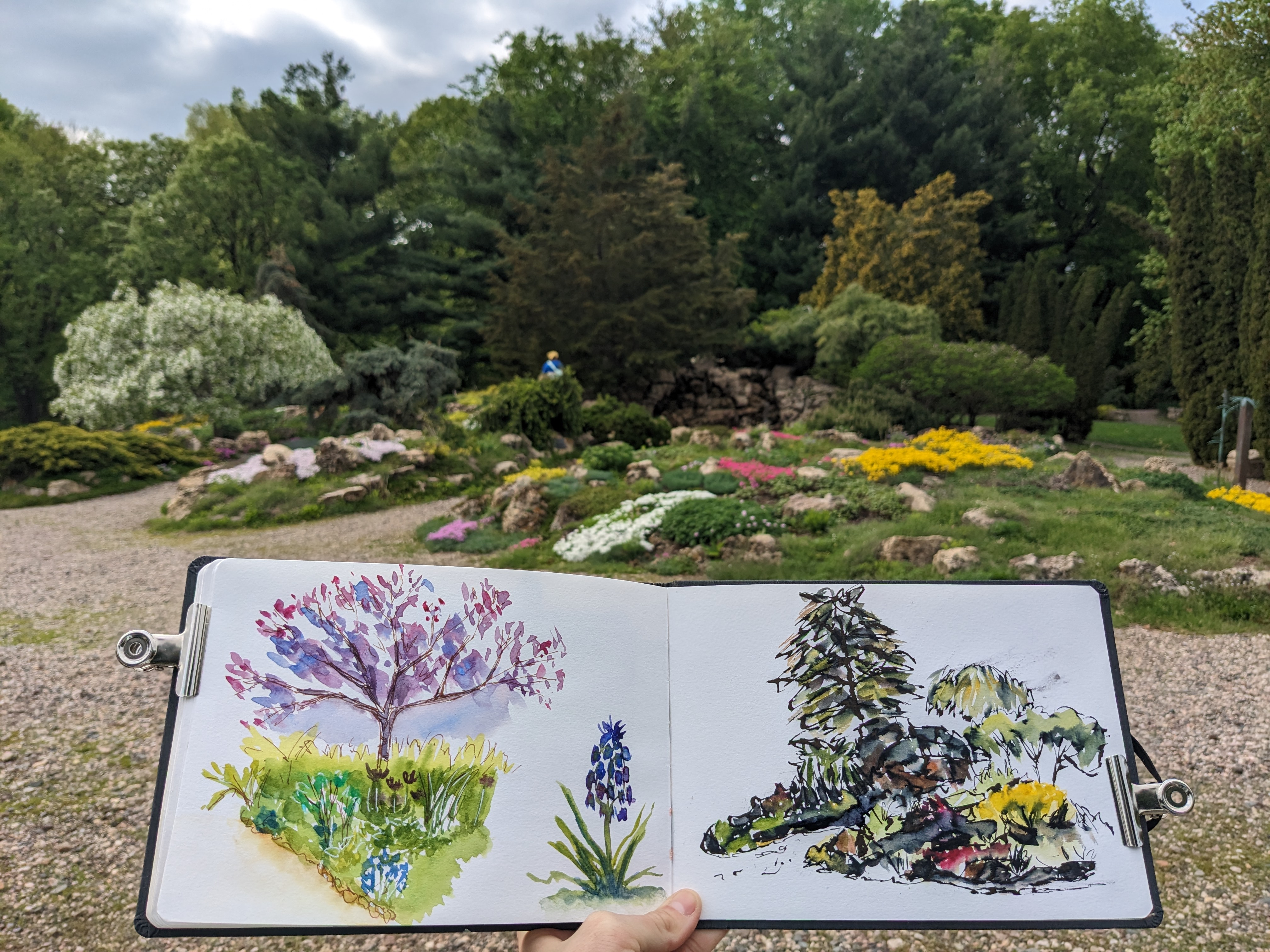 My Top 5 Mindset Influences